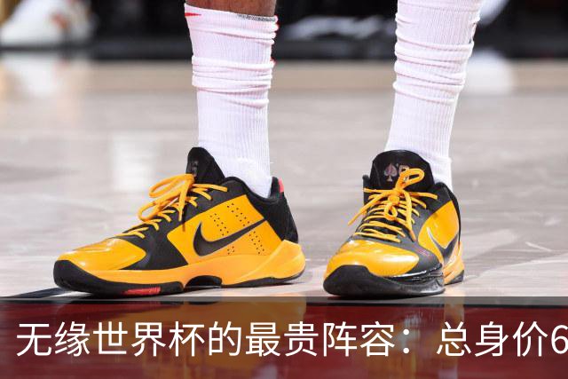 无缘世界杯的最贵阵容：总身价6.7亿 意大利5人